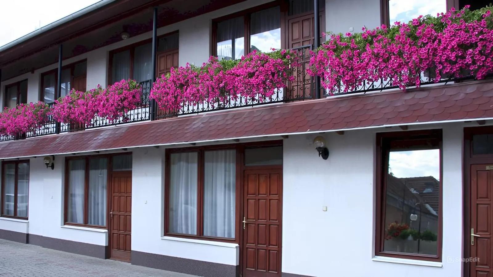 Bed & Breakfast Hegyalja Fogado